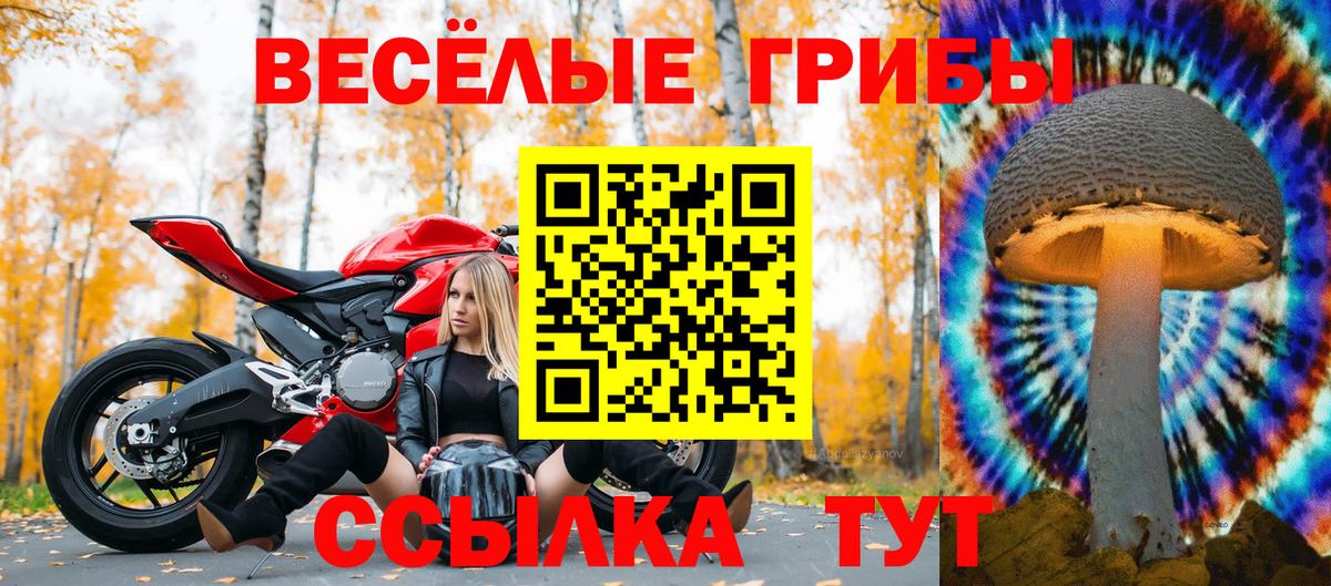 Псилоцибиновые грибы ЛСД  Псилоцибиновые грибы мухоморы  Вход с VPN  наркошоп  Нефтекумск 