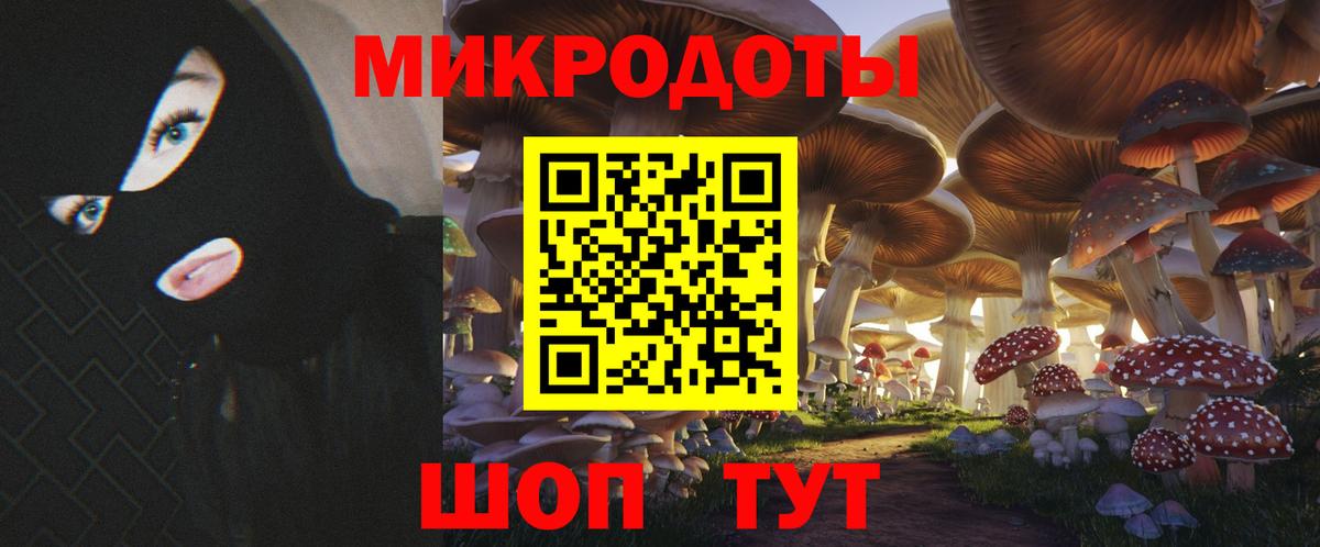 Галлюциногенные грибы GOLDEN TEACHER Нефтекумск